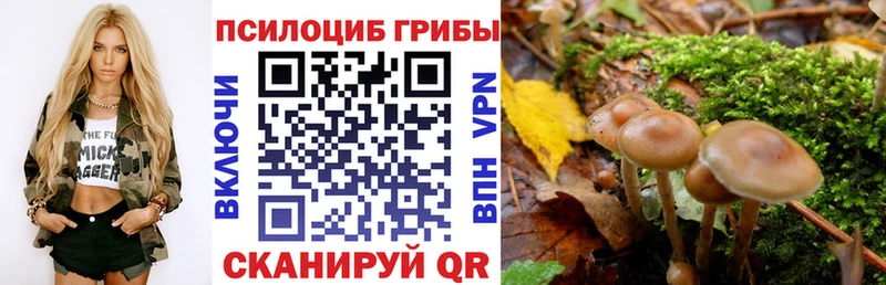 KRAKEN ONION  Сретенск  Псилоцибиновые грибы ЛСД 