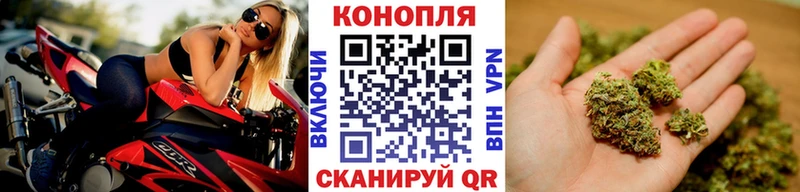 Бошки Шишки сатива  гидра вход  Сретенск  закладка 
